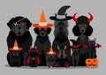 Black halloween dogs and cats group