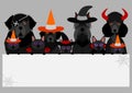 Black halloween dogs and cats with white board