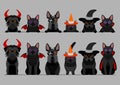 Black halloween small dogs and cats in a row