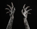 Black hand of death, the walking dead, zombie theme, halloween theme, zombie hands, black background, mummy hands