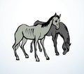 Starving skinny horse. Vector drawing Royalty Free Stock Photo