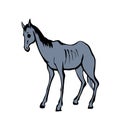 Starving skinny horse. Vector drawing Royalty Free Stock Photo