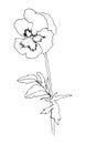 Black hand drawn pansy flower. Sketch style. Vector illustration.