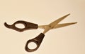 Black handle scissors, vintage style. Image