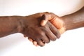 Black handshake Royalty Free Stock Photo