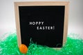 A Sign That Says Hoppy Easter with an Easter Egg