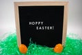 A Sign That Says Hoppy Easter With Easter Eggs