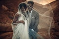 Newlyweds stand under bridal veil and smile in canyon at sunset.