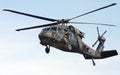 Black hawk Royalty Free Stock Photo
