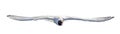 Black-head single seagull direct flight Royalty Free Stock Photo