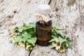 Black henbane (Hyoscyamus niger) and oil