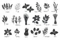 Black herbs spices silhouettes