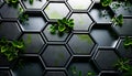 A black hexagonal wall with green leaves Royalty Free Stock Photo
