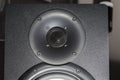 Black hi-fi speaker tweeter for treble frequency sound