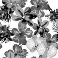 Black Hibiscus Leaves. White Watercolor Backdrop. Seamless Palm. Flower Leaf Pattern Illustration. Tropical Backdrop. Summer Wallp Royalty Free Stock Photo