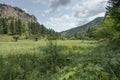 Black Hills in South Dakota Royalty Free Stock Photo