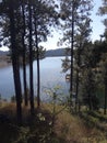 Black Hills South Dakota landscape lake trees and mountains Royalty Free Stock Photo