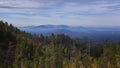 Black Hills View