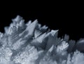 Shiny Dark Hoarfrost, Cold Dead Royalty Free Stock Photo