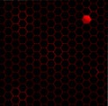 A black honeycomb with a red head background