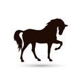 Black horse. Background, cartoon Royalty Free Stock Photo