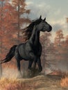 Black Horse