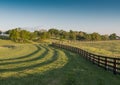 Black Horse Farm Fence And Shadows Wind