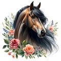 Black horse. Flowers. Head. Stallion. Portrait. Watercolor. Isolated illustration on a white background. Banner. Close Royalty Free Stock Photo