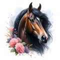 Black horse. Flowers. Head. Stallion. Portrait. Watercolor. Isolated illustration on a white background. Banner. Close