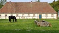 Black horse grazing on a green lawn, on background of stables building, at Schloss Fasanerie, Eichenzell, Germany Royalty Free Stock Photo