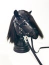 Black horse head mask on white background