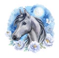 Black horse head portrait with blue flowers frame. Watercolor. Illustration Royalty Free Stock Photo