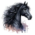 Black horse. Head. Stallion. Portrait. Watercolor. Isolated illustration on a white background. Banner. Close-up Royalty Free Stock Photo