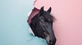 black horse looking up in pastel color paper side torn hole isolated. Generative Ai Royalty Free Stock Photo