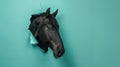 black horse looking up in pastel color paper side torn hole isolated. Generative Ai Royalty Free Stock Photo