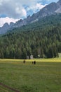 Black Horse Pasturing in Grazing Lands: Italian Dolomites Alps Scenery near Misurina Lake Royalty Free Stock Photo