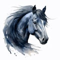Black horse portrait isolated on transparent background. Watercolour illustration. Royalty Free Stock Photo