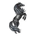 Black horse rearing up. Hand drawn watercolor. isolate. For printing, stickers and labels. Royalty Free Stock Photo