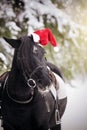 Black horse in a red Santa Claus hat Royalty Free Stock Photo