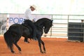 Black horse and rider at the rodeo