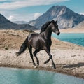 black horse running in desert near blue lake and mountain , generated by AI Royalty Free Stock Photo