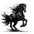 Black horse running Royalty Free Stock Photo