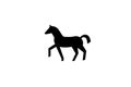 Black horse silhouette illustration isolated on white background Royalty Free Stock Photo
