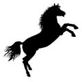 Black horse silhouette Royalty Free Stock Photo