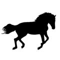 Black horse silhouette Royalty Free Stock Photo