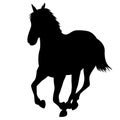 Black horse silhouette isolated vector