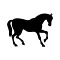 Black Horse Silhouette Isolated Vector