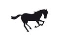 Black horse silhouette isolated on white background, happy animal jumping and running, single creature Royalty Free Stock Photo