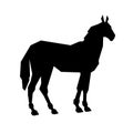Black horse silhouette vector illustration Royalty Free Stock Photo