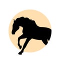 Black Horse Silhouette Vector Illustration Side